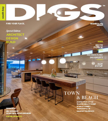 Digs cover